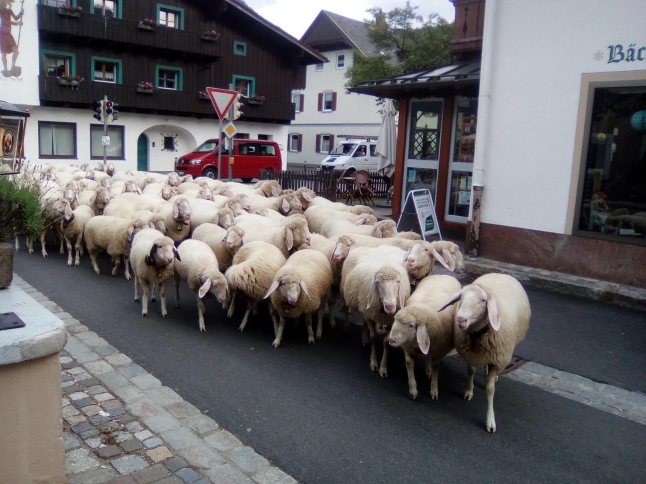 Landgasthof Kirchmayer Farchant Eksteriør bilde